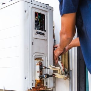 Diseño sin título (75)